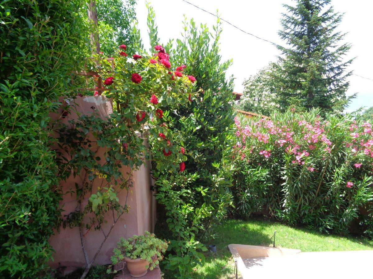 Apartment Golf Dojran Bagian luar foto